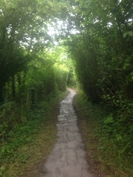 Shrewsbury School Path After Work