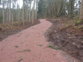 Dudmaston All Ability Trail