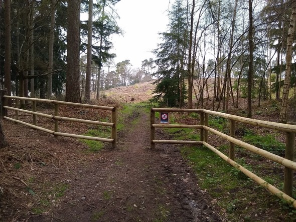 New fencing at Nesscliffe