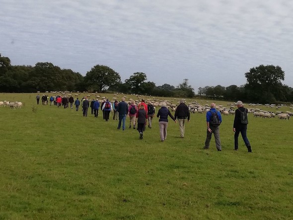 Volunteer Celebration day - Walk 1