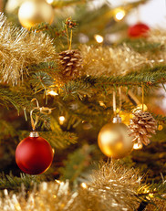 Close up of Christmas tree 