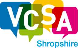 VCSA logo