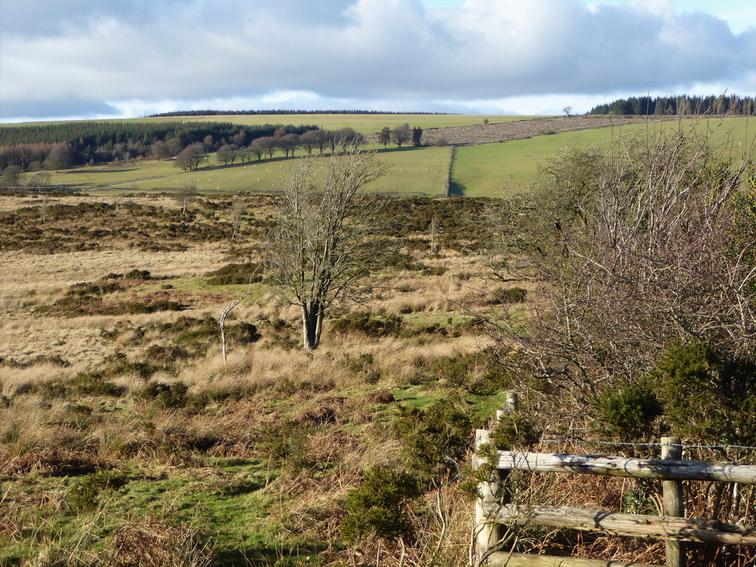 photograph of the Clun uplands, Rhos Fiddle