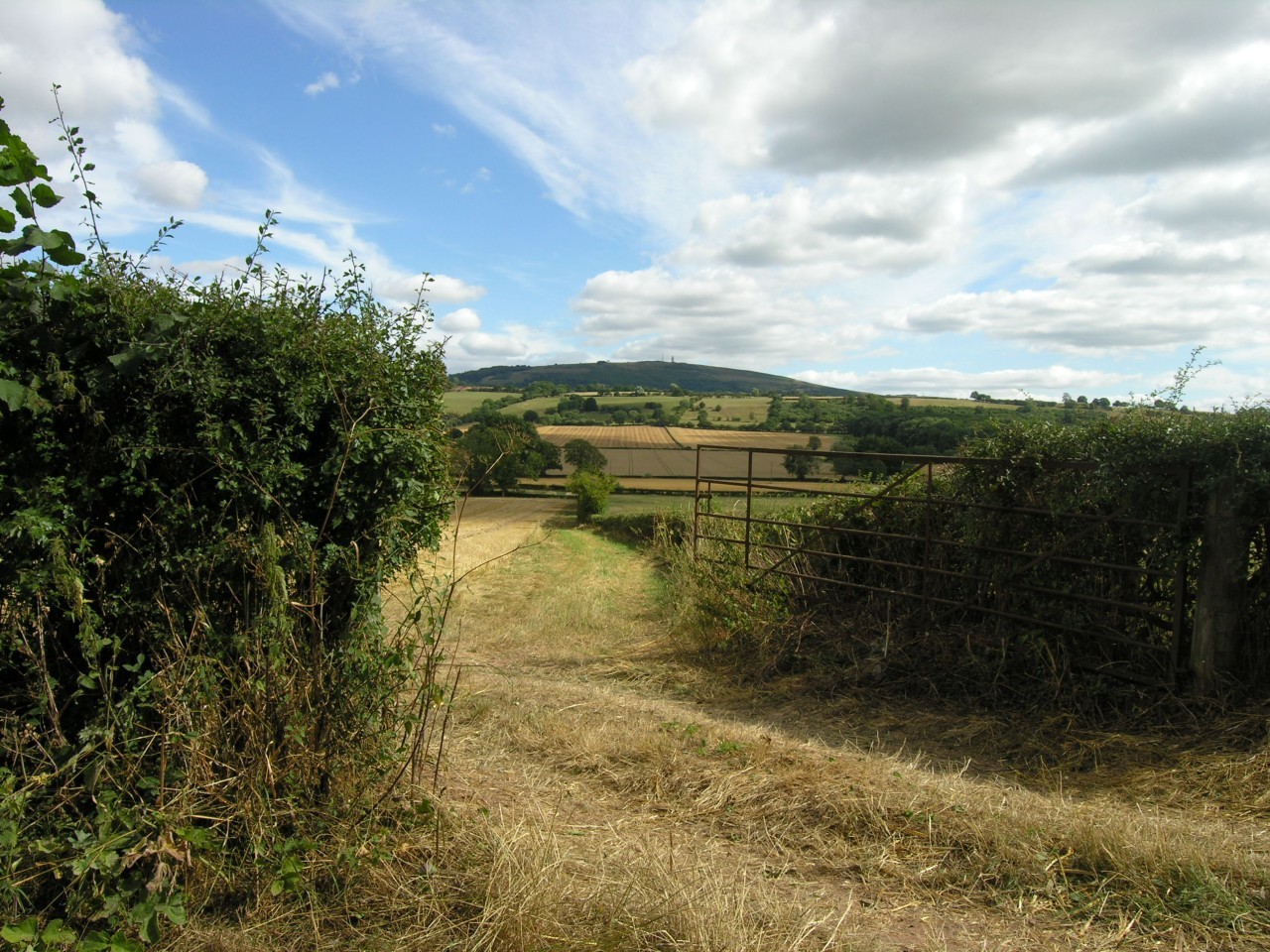 View through field gate towards Brown Clee
