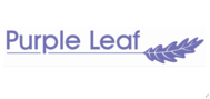 Purple Leaf Logo 