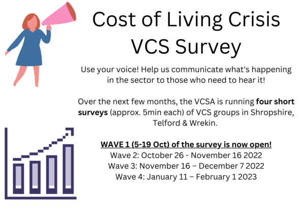 cost of living vcs survey
