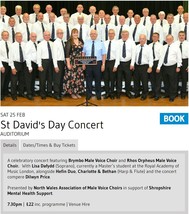 st david's day concert poster