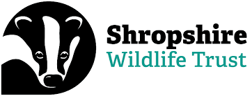 shropshire wildlife trust logo