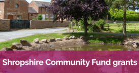 community fund grants