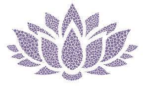 picture of a lotus flower jenna blair yoga