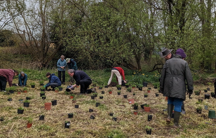 volunteers planting wildflower plugs around Clun playing field