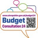 budget  consultation logo