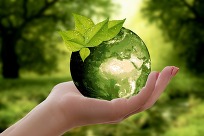sustainability 