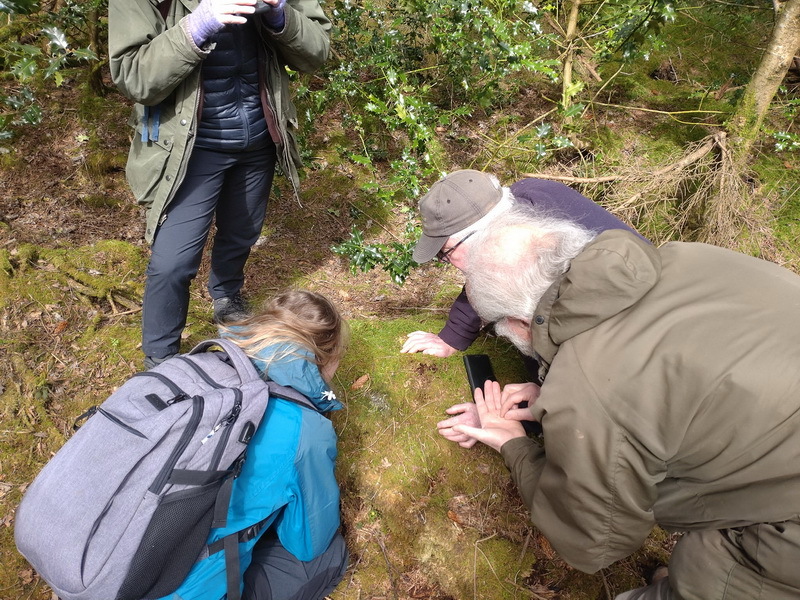 photo of people searching for signs of pine martens in the Stiperstones area