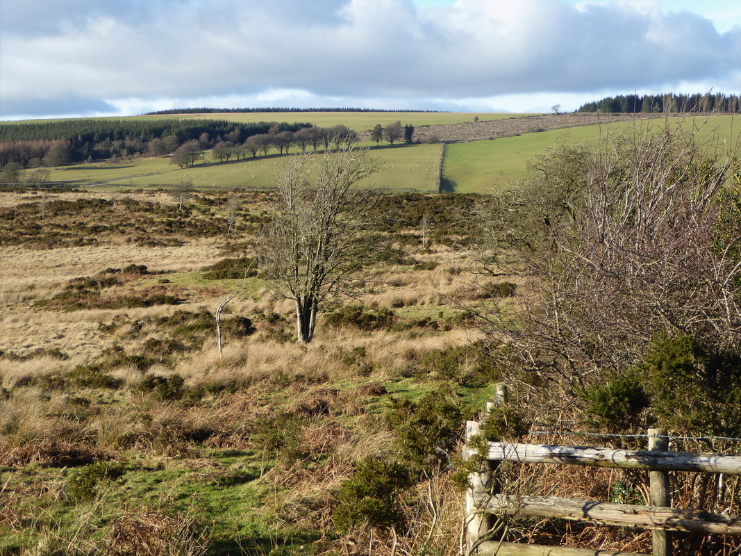 photograph of Rhos Fiddle