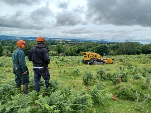 Training day using a robocutter to tackle the bracken on Clee Liberty