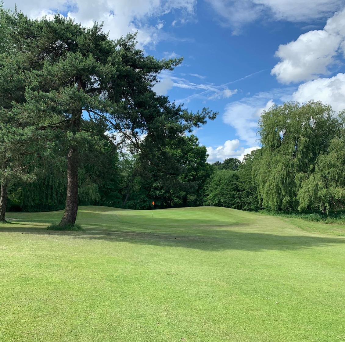 meole brace golf course image