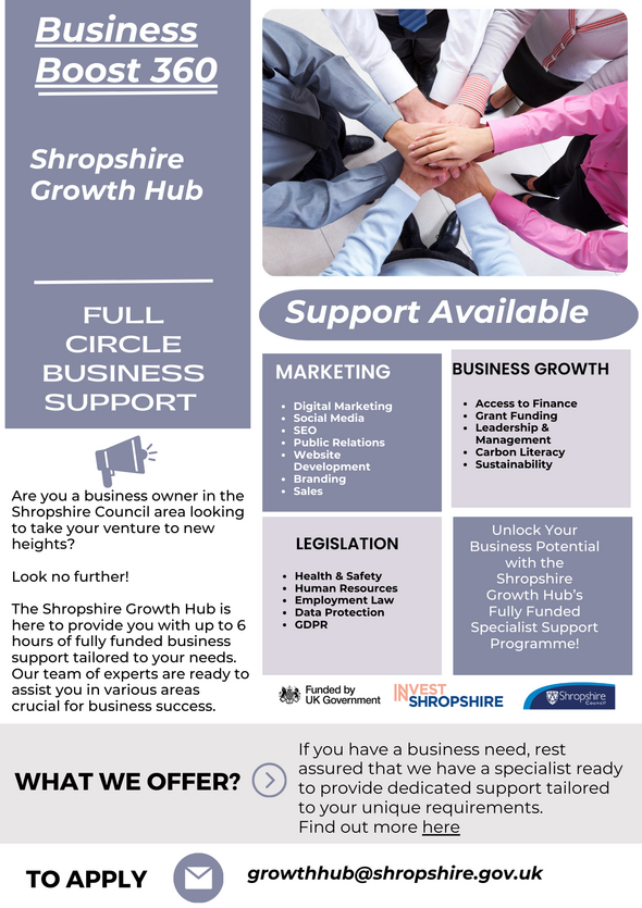 Business Boost 360 Flyer