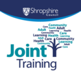 Joint Training
