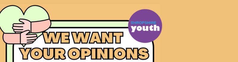 Shropshire Youth survey