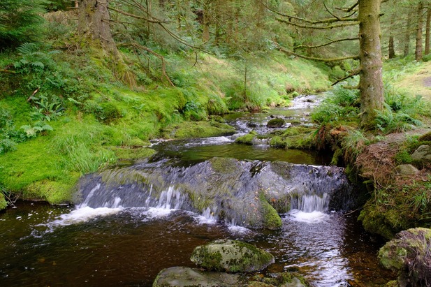 Source of the Severn