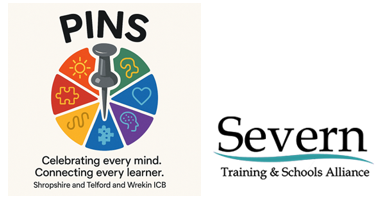 pins and severn training and Schools alliance