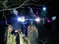 photograph of a night walk with young people