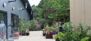 a garden scene