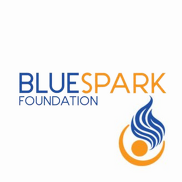 blue spark foundation logo