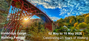 Ironbridge image