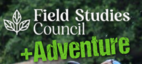 Adventure