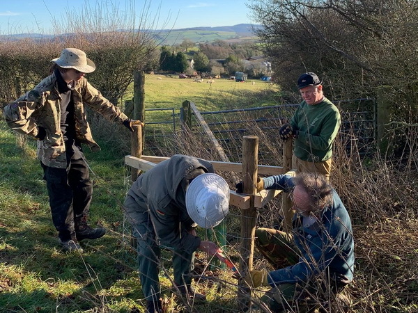 volunteers planting trees