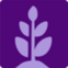 new plant icon