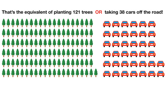 trees and cars