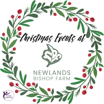 newlands bishop farm christmas