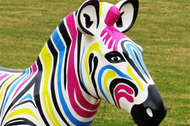 Events - Marwell's Zany Zebras