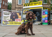 Events - Sniffer Dogs