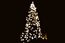 Christmas - tree - Xmas - Seasonal - Festive - events