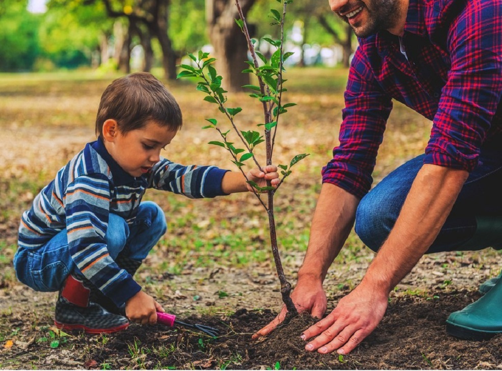 Tree planting 23102020