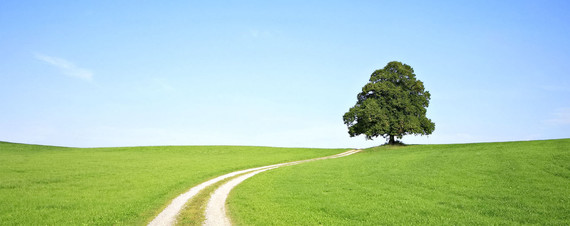 SCIA - social care - covid