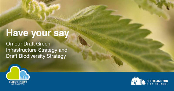 green infrastructure and biodiversity strategies graphic phto of leaf