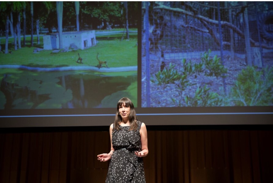 Art Gallery talk 26 April 