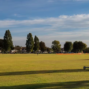 Photograph of the landscape within Southchurch Park.