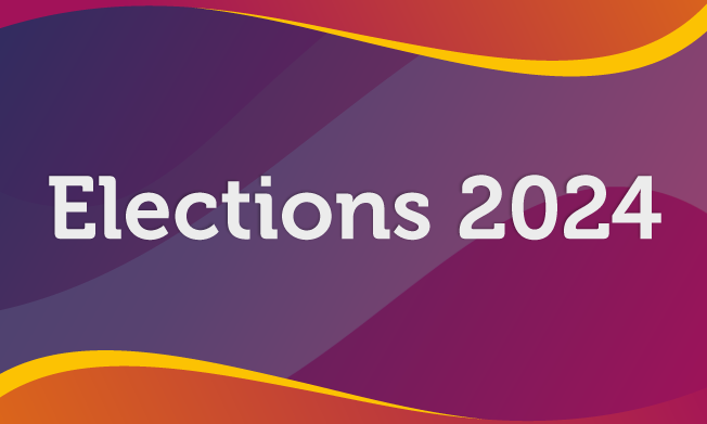 Elections 2024 banner