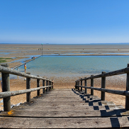 A wooden staircase on East beach leading down to a pool of water.