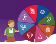 A young child kneels next to a large, colourful wheel divided into 8 segments, each with icon representing a different sense.