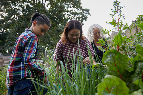 Gardening on the Goschen estate