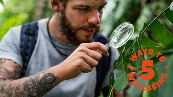 A man looking at insects on the leaf of a tree using a magnifying glass.