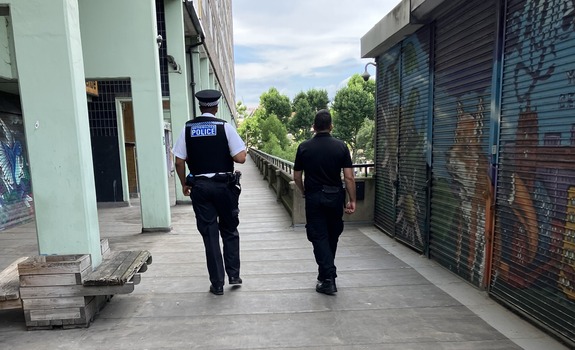 Police officers and wardens shown from behind
