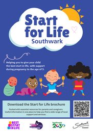 SFL brochure